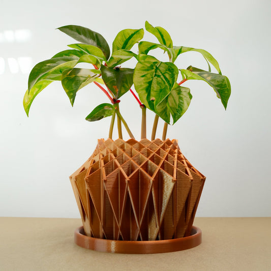 Galaxy Groove Plant Pot