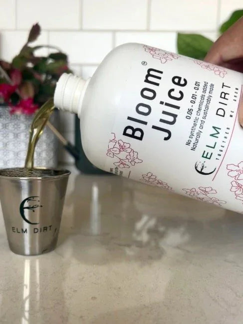 Bloom Juice Award-Winning Formula