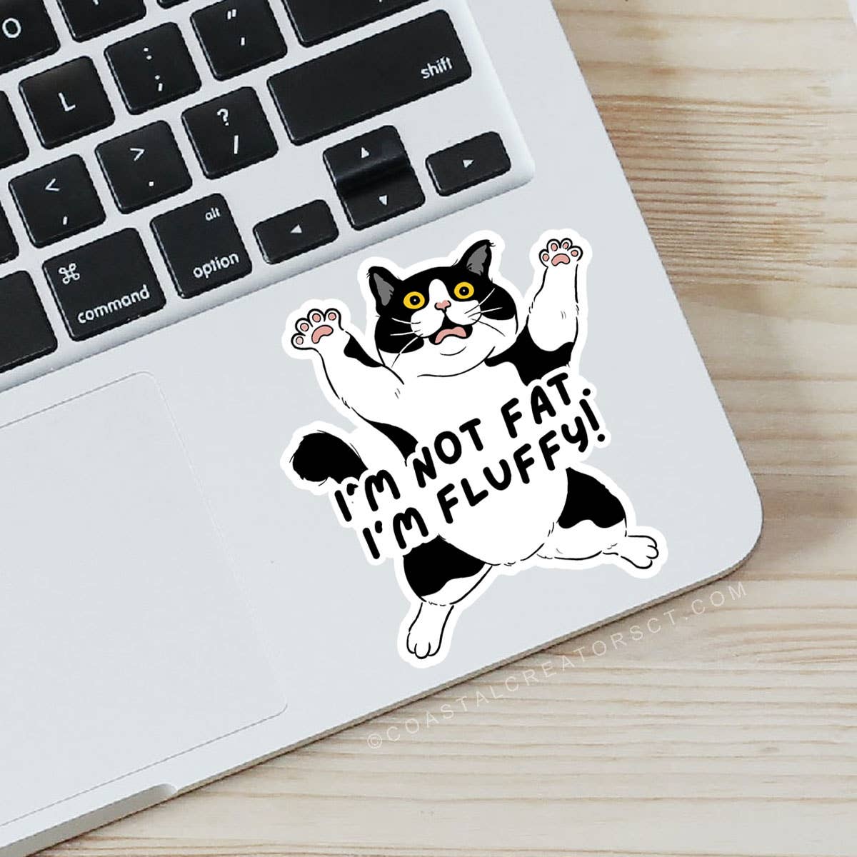 I'm Not Fat. I'm Fluffy Cat Laptop Water Bottle Sticker: Unpackaged