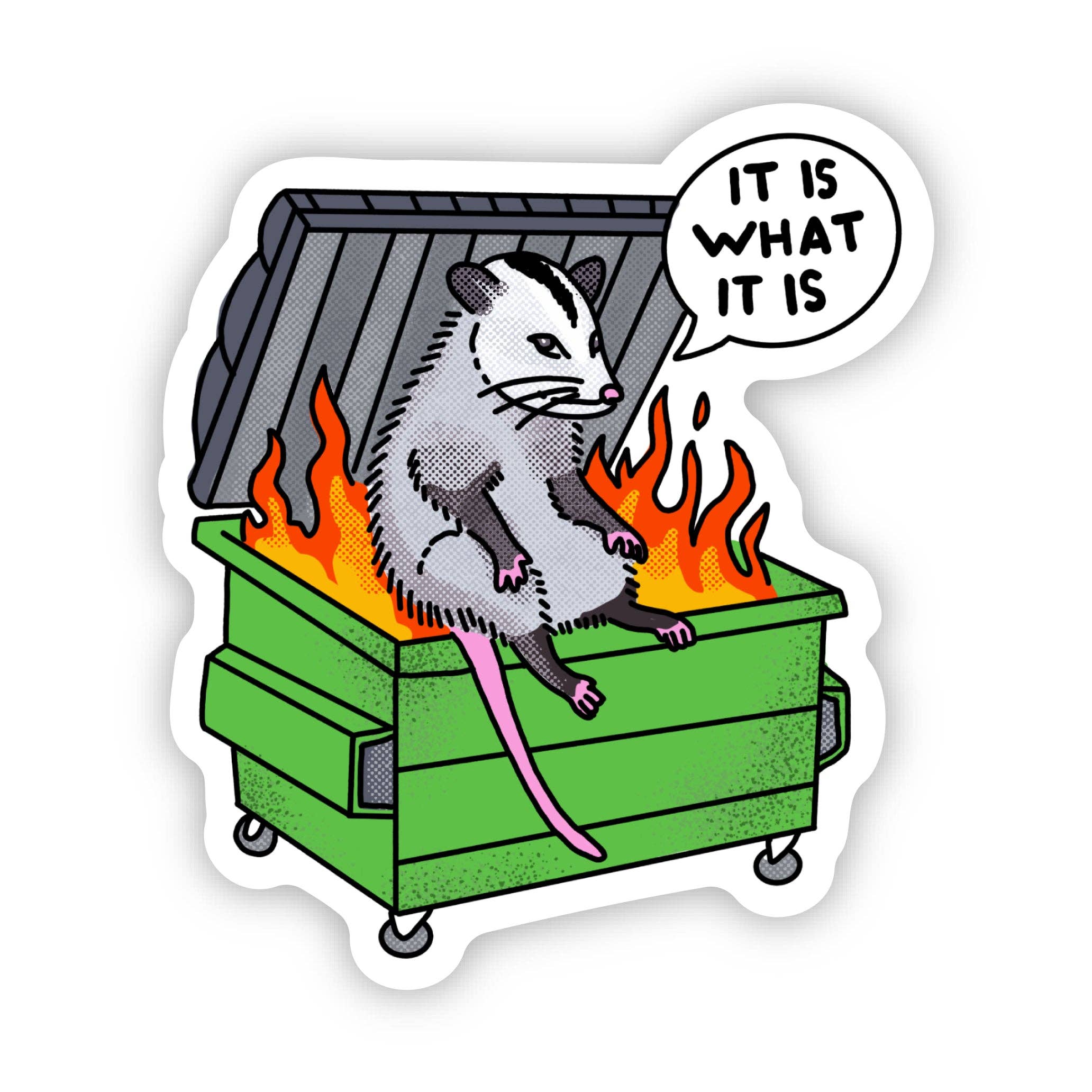 "It is what it is" Possum Dumpster Fire Sticker - 0