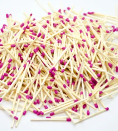 Candle Matches / Margaret Atwood / Bookish / Bookstore Gift