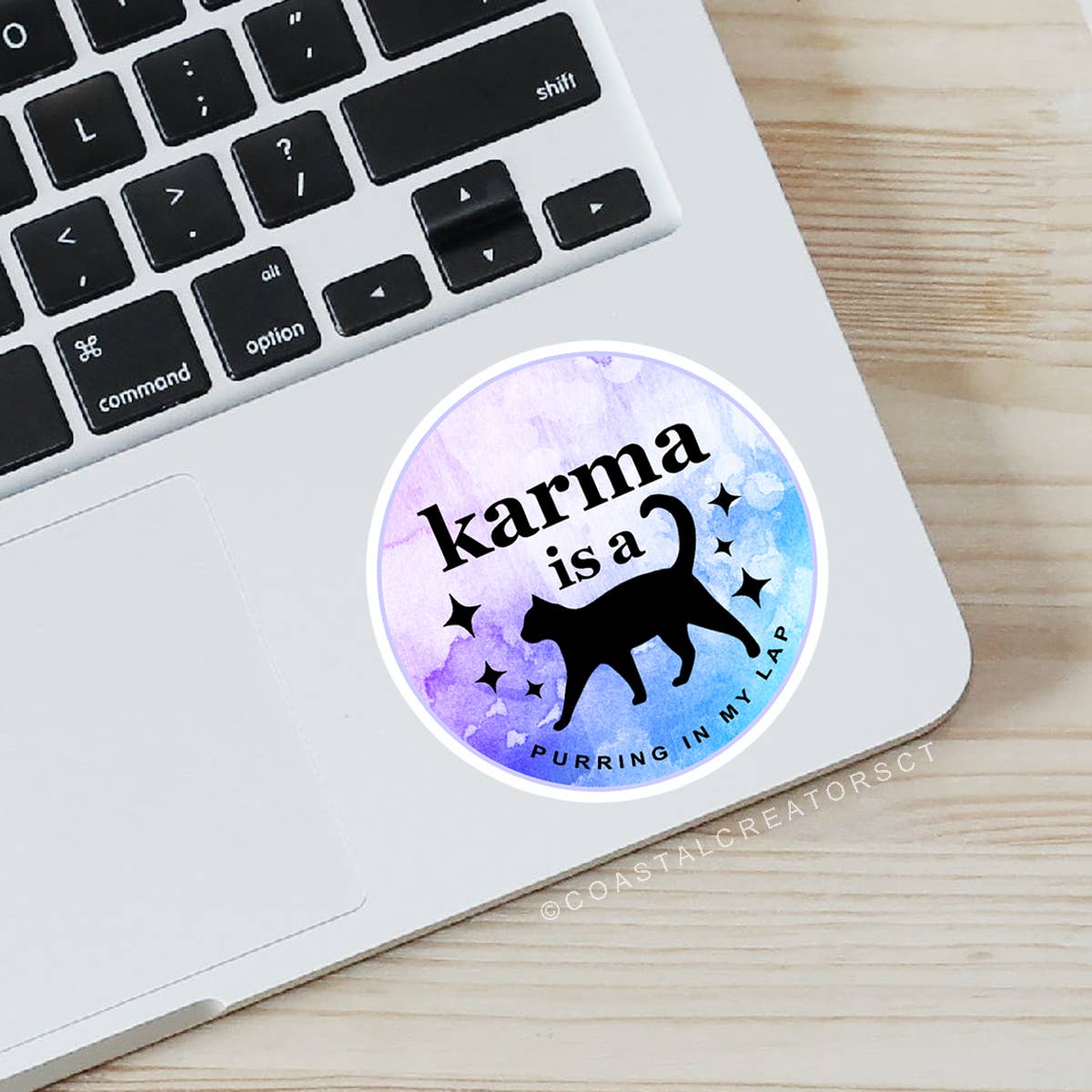 Karma is a Cat Purring on My Lap Laptop Bottle Sticker: Unpackaged