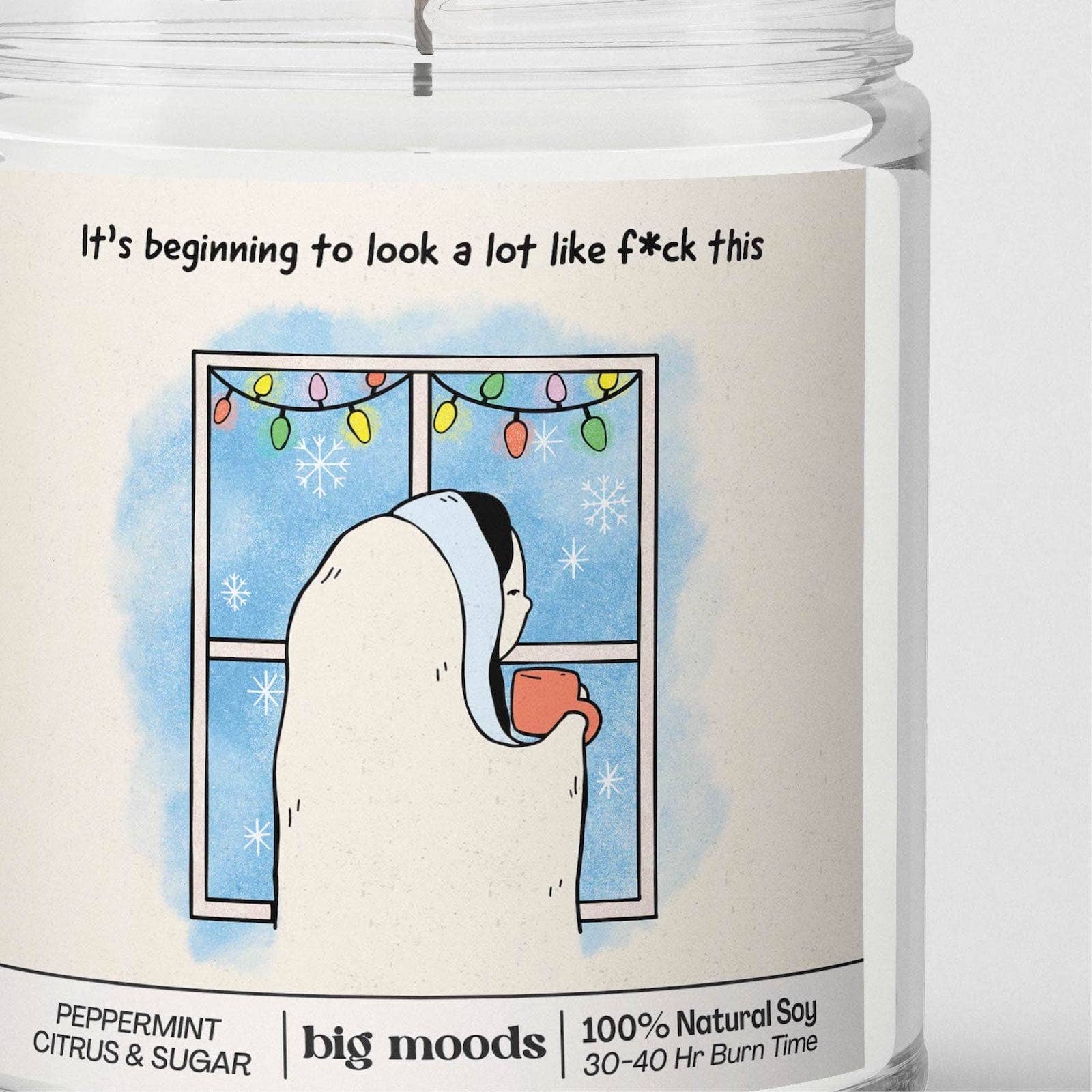 "It's Beginning to Look a Lot like F*ck This" - Soy Candle - 0