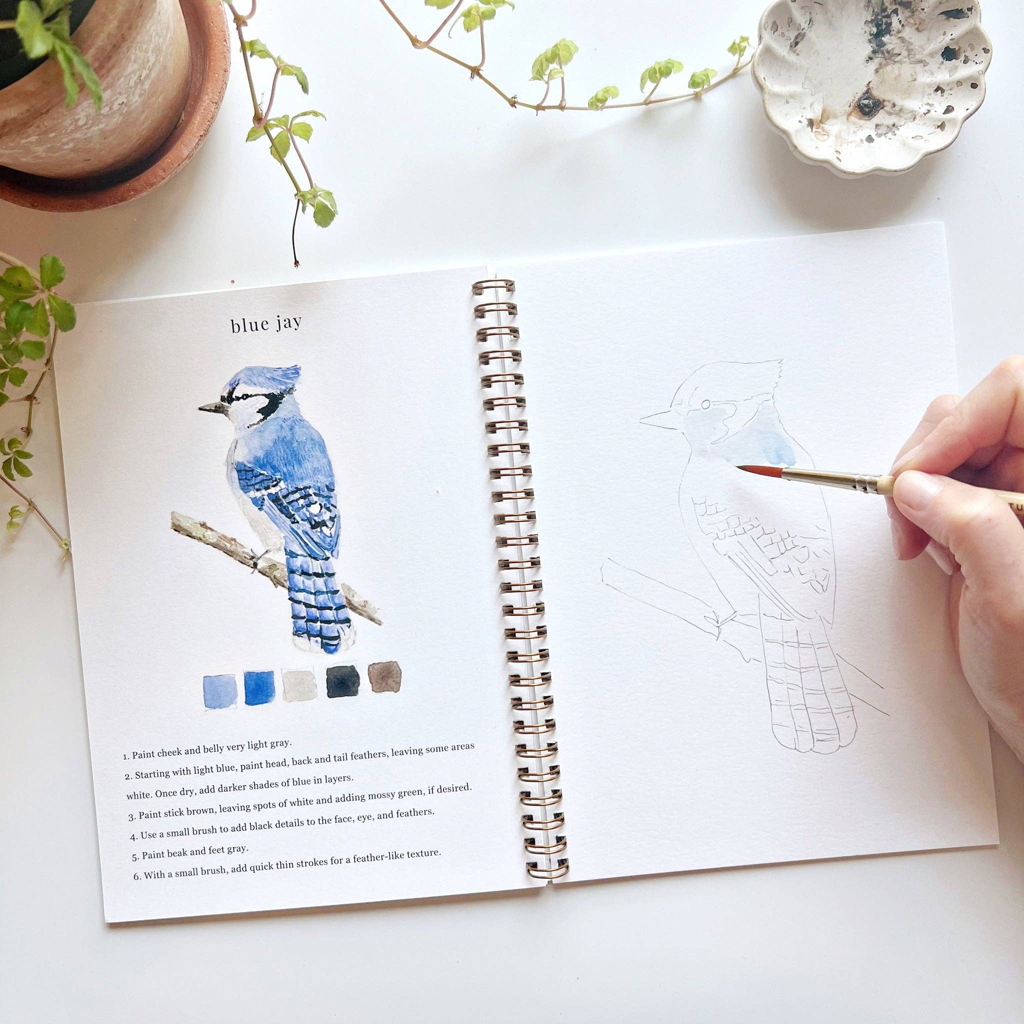 Watercolor Workbook - Birds