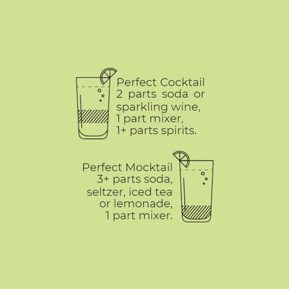 Watermelon & Mint Cocktail-Mocktail Mixer, 16 fl oz