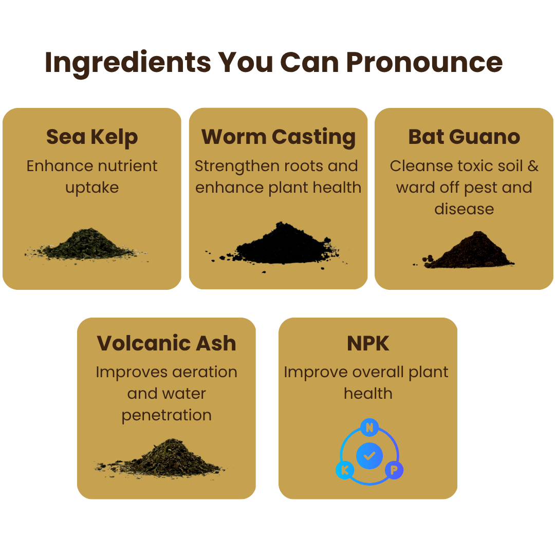Ancient Soil Organic Living Soil