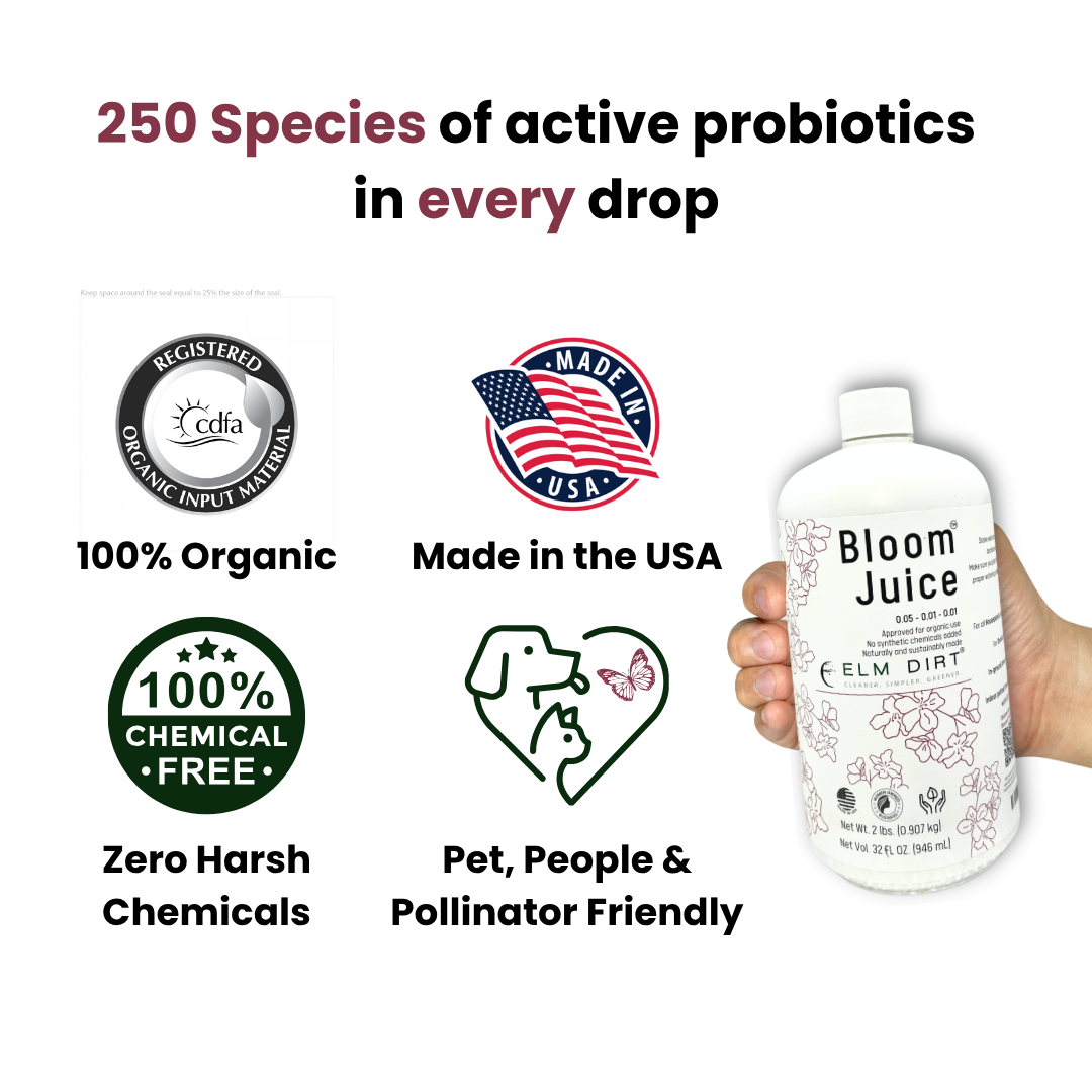 Bloom Juice Award-Winning Formula