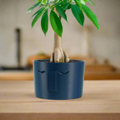 Minimal Face Planter, Small Medium Large, With Drip Tray and Great Drainage