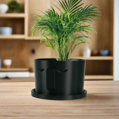 Minimal Face Planter, Small Medium Large, With Drip Tray and Great Drainage