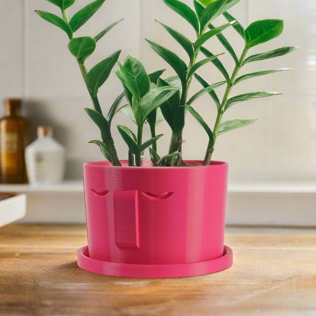 Minimal Face Planter, Small Medium Large, With Drip Tray and Great Drainage