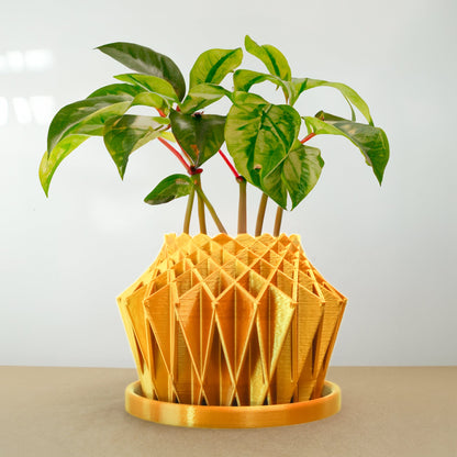 Galaxy Groove Plant Pot