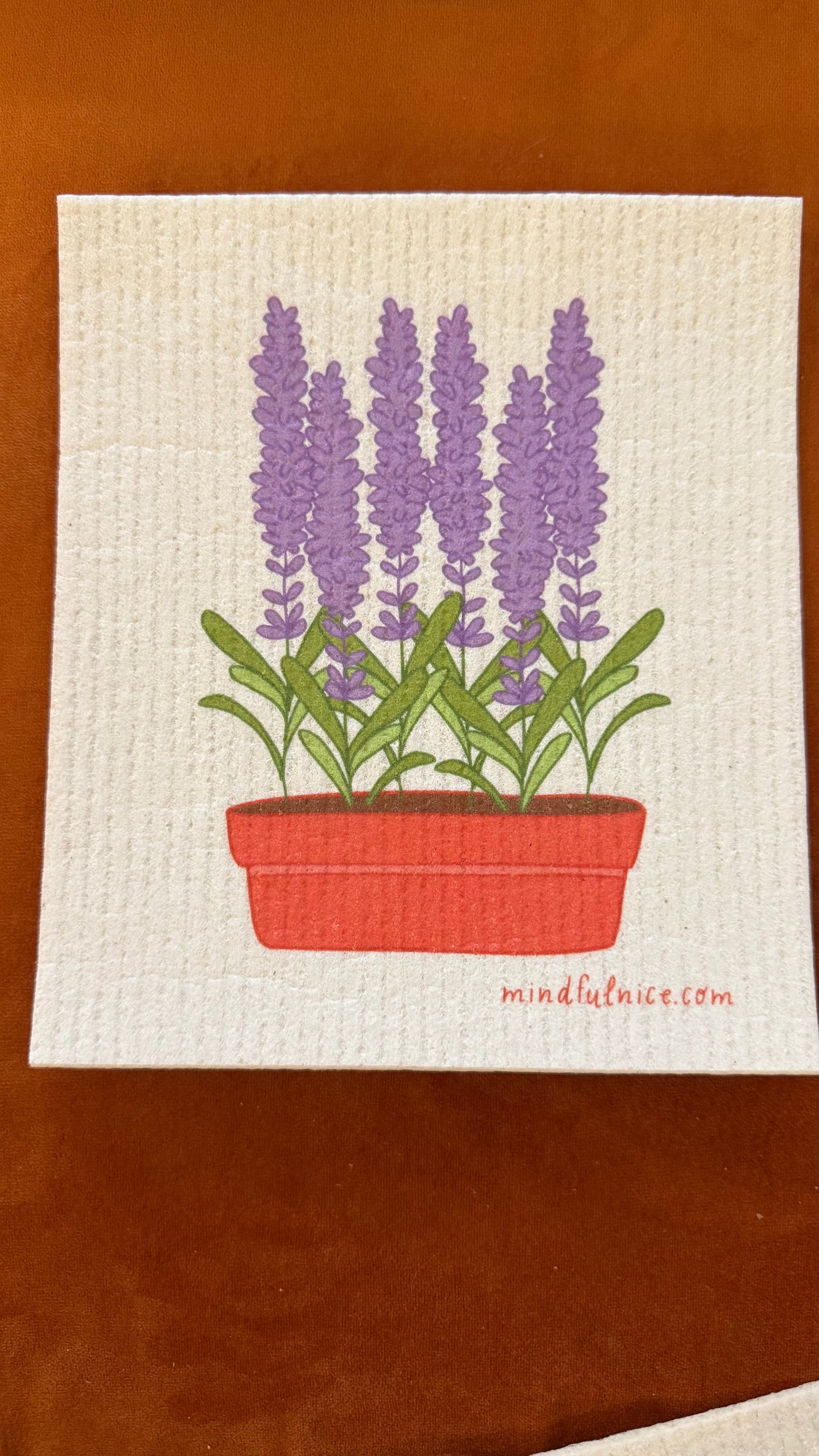 Mindful Cleaning Swedish Dishcloth Set