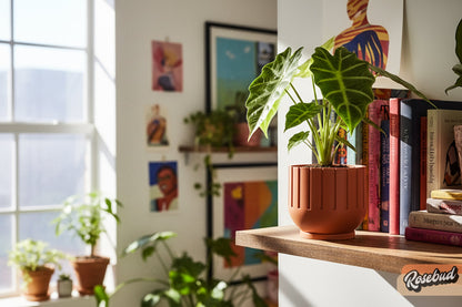 Modern Indoor Planter with Drainage – 3D Printed Fluted Plant Pot, Vertical Ribbed Design, Minimalist Decor Accent, Mid-Bubble