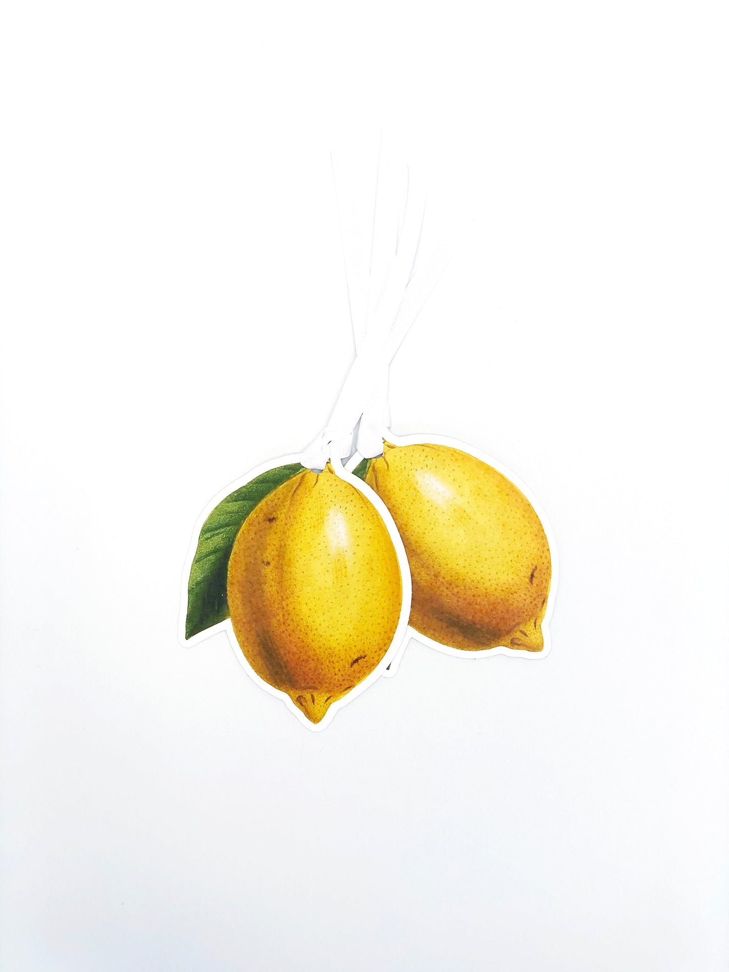 Lemon Wrapping Paper