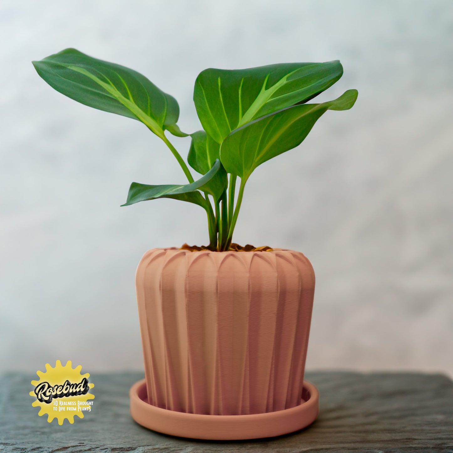 Lunar Bloom Plant Pot