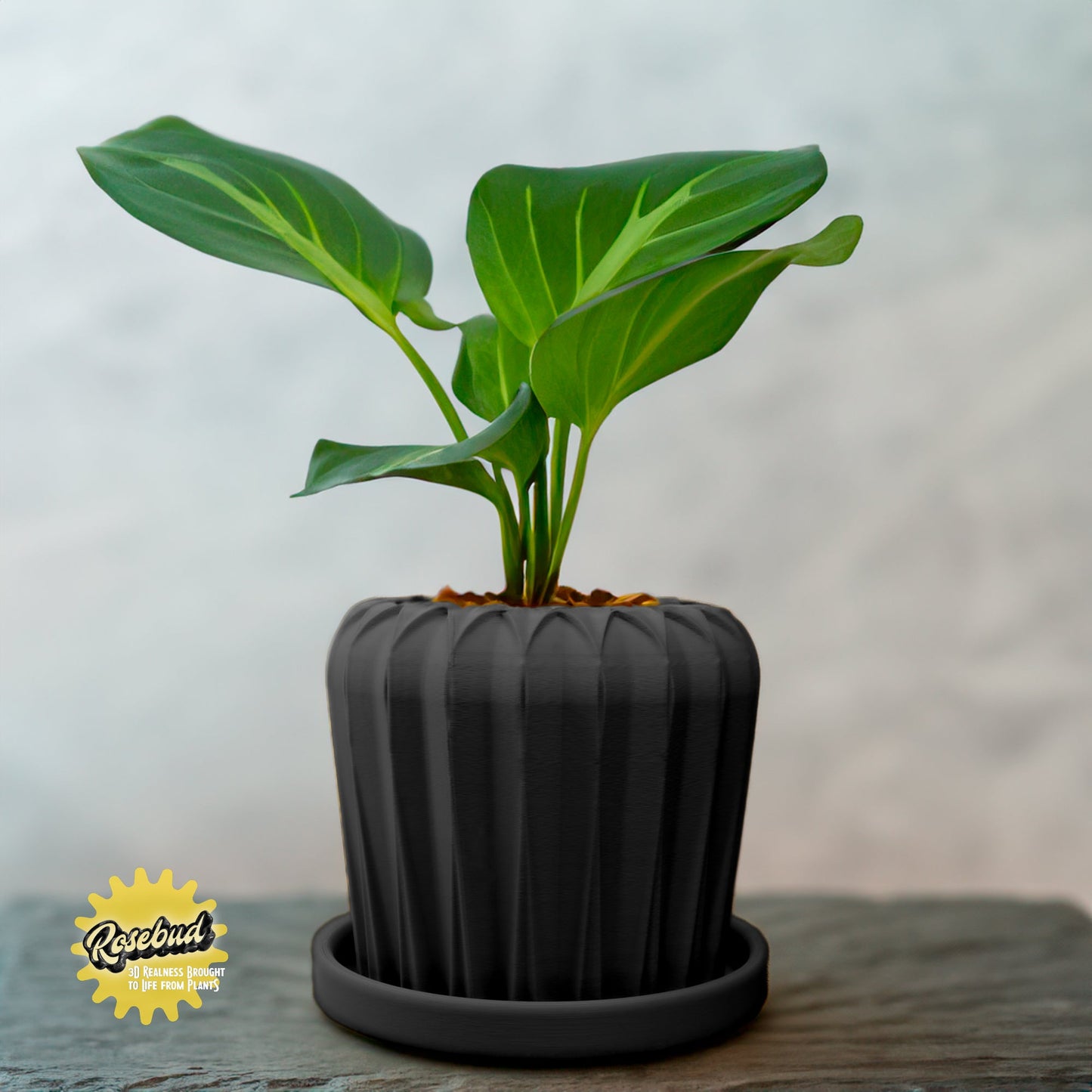 Lunar Bloom Plant Pot