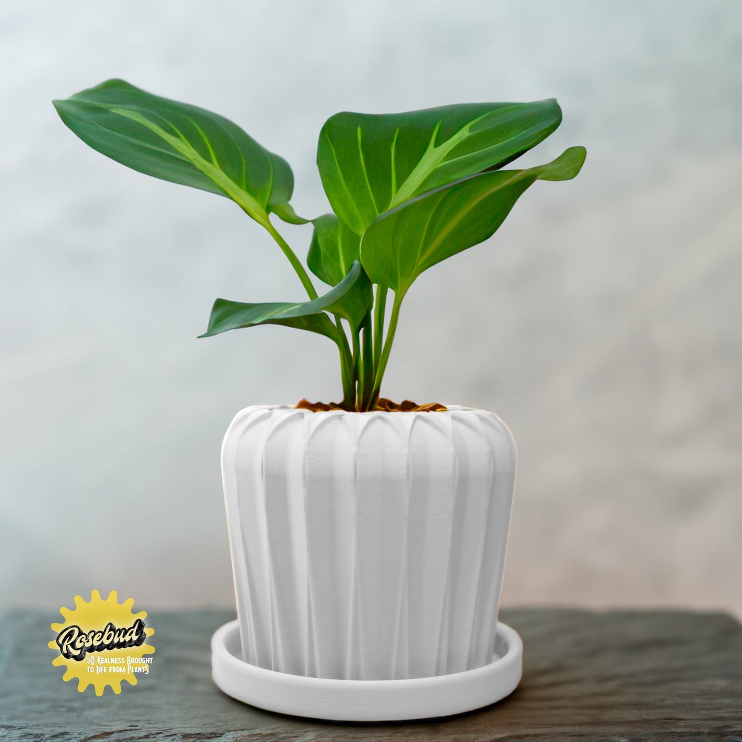 Lunar Bloom Plant Pot