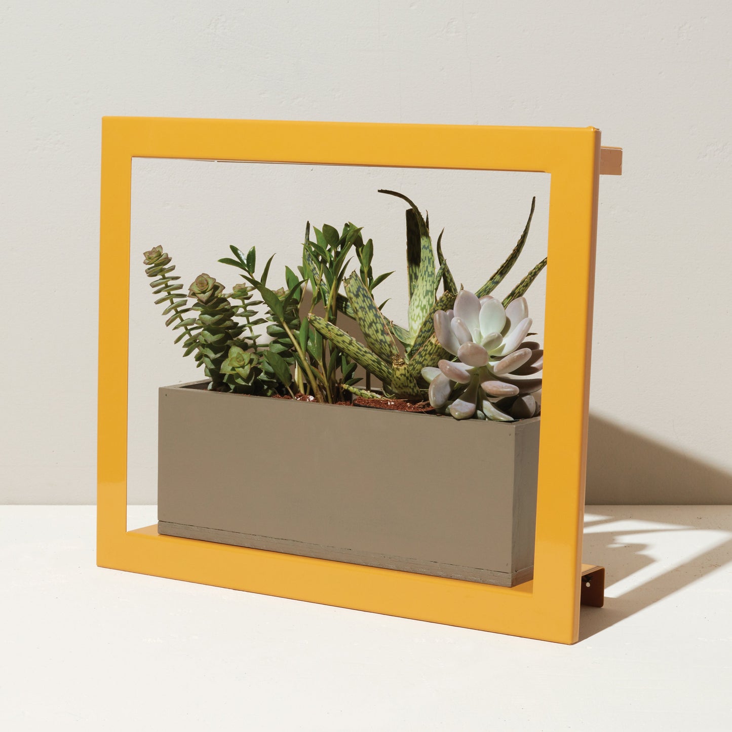 Smart Standard Growframe