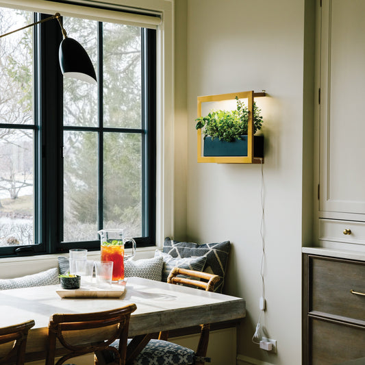 Smart Standard Growframe