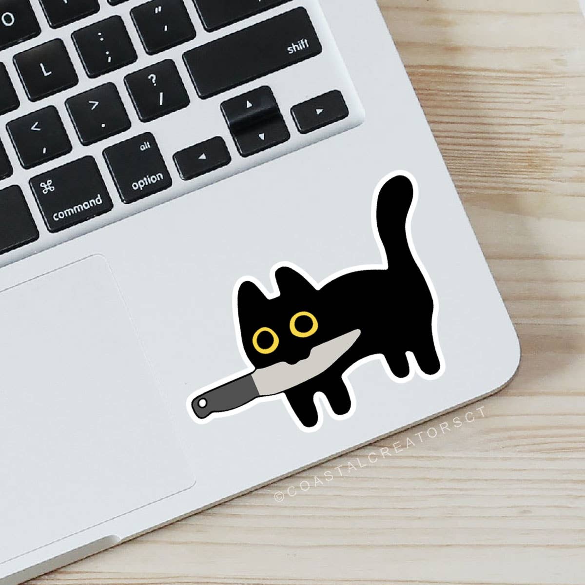 Black Cat with Knife in Mouth Laptop Water Bottle Sticker: Unpackaged
