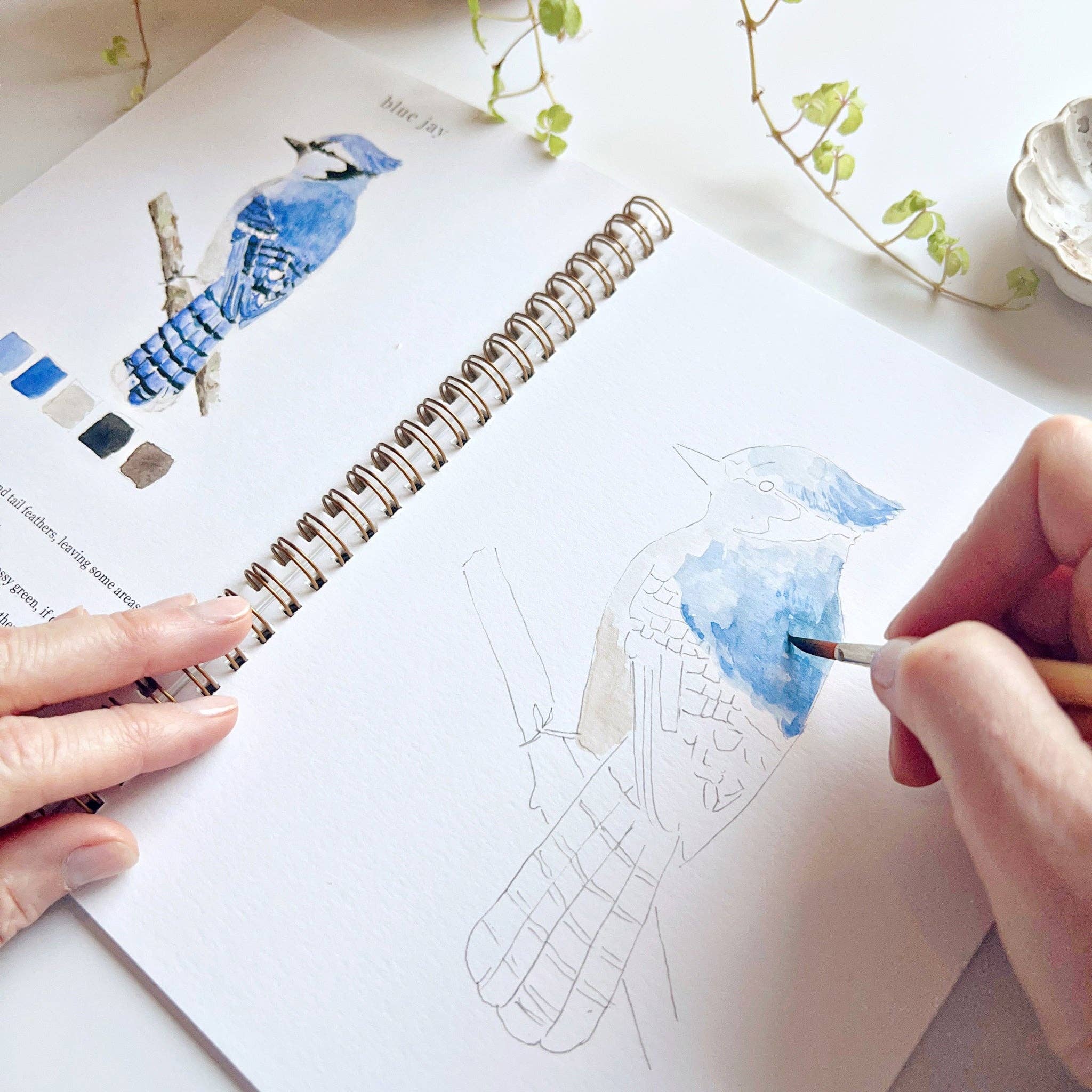 Watercolor Workbook - Birds