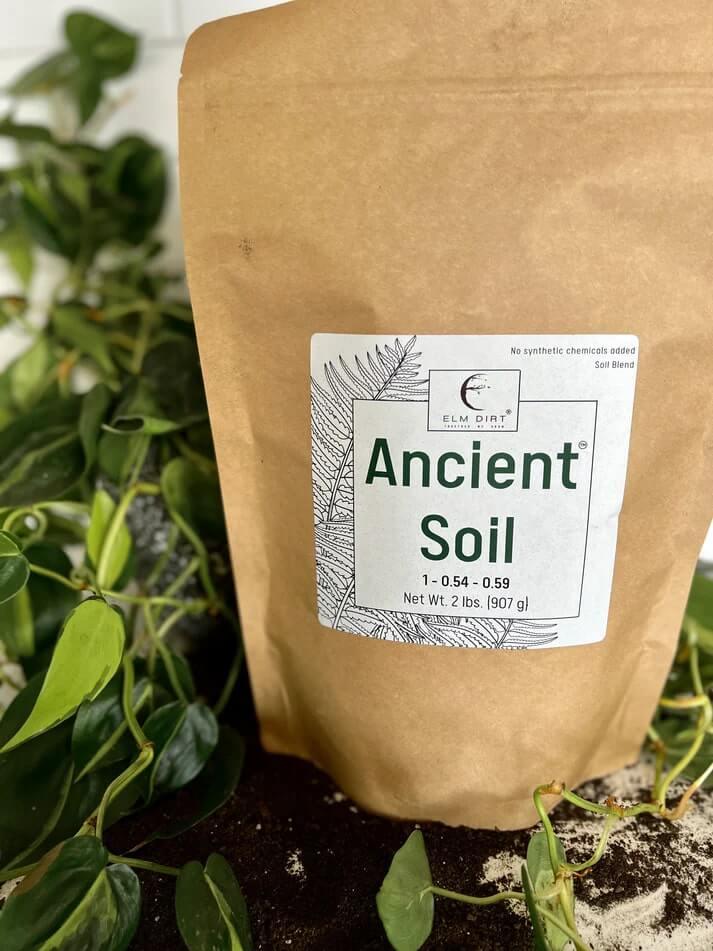 Ancient Soil Organic Living Soil