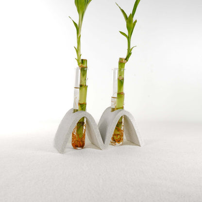 Arch Wave Propagation Station