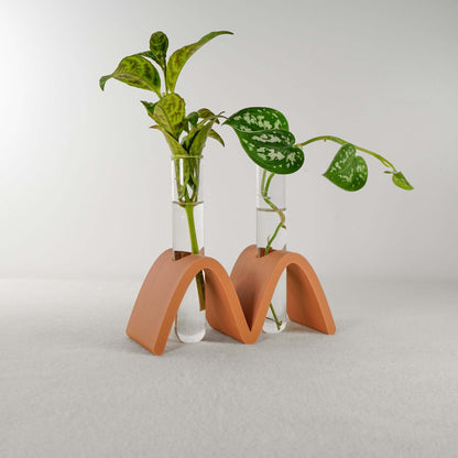 Arch Wave Propagation Station