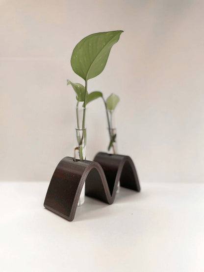 Arch Wave Propagation Station