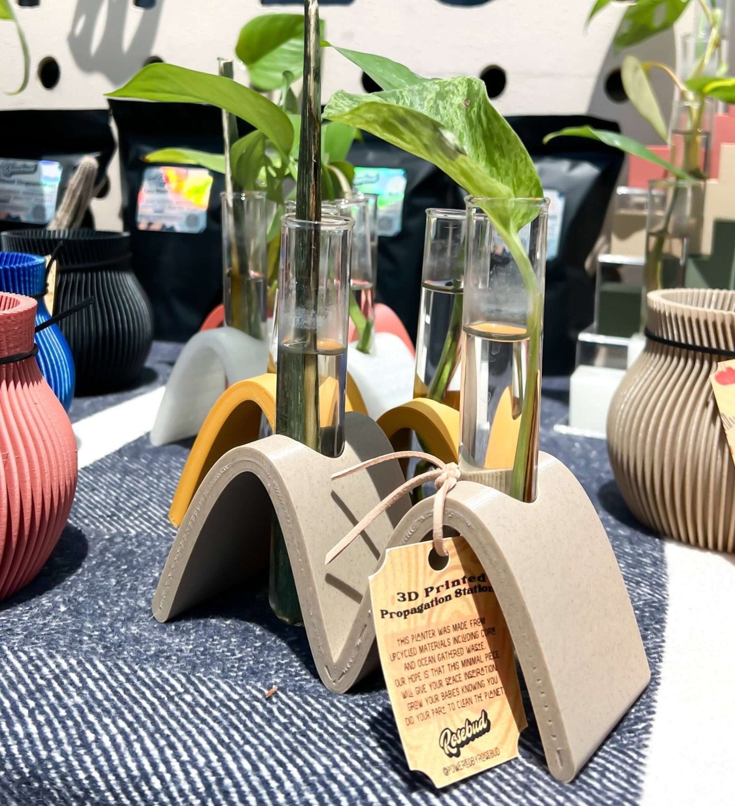 Arch Wave Propagation Station