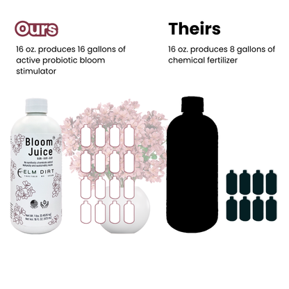 Bloom Juice Award-Winning Formula