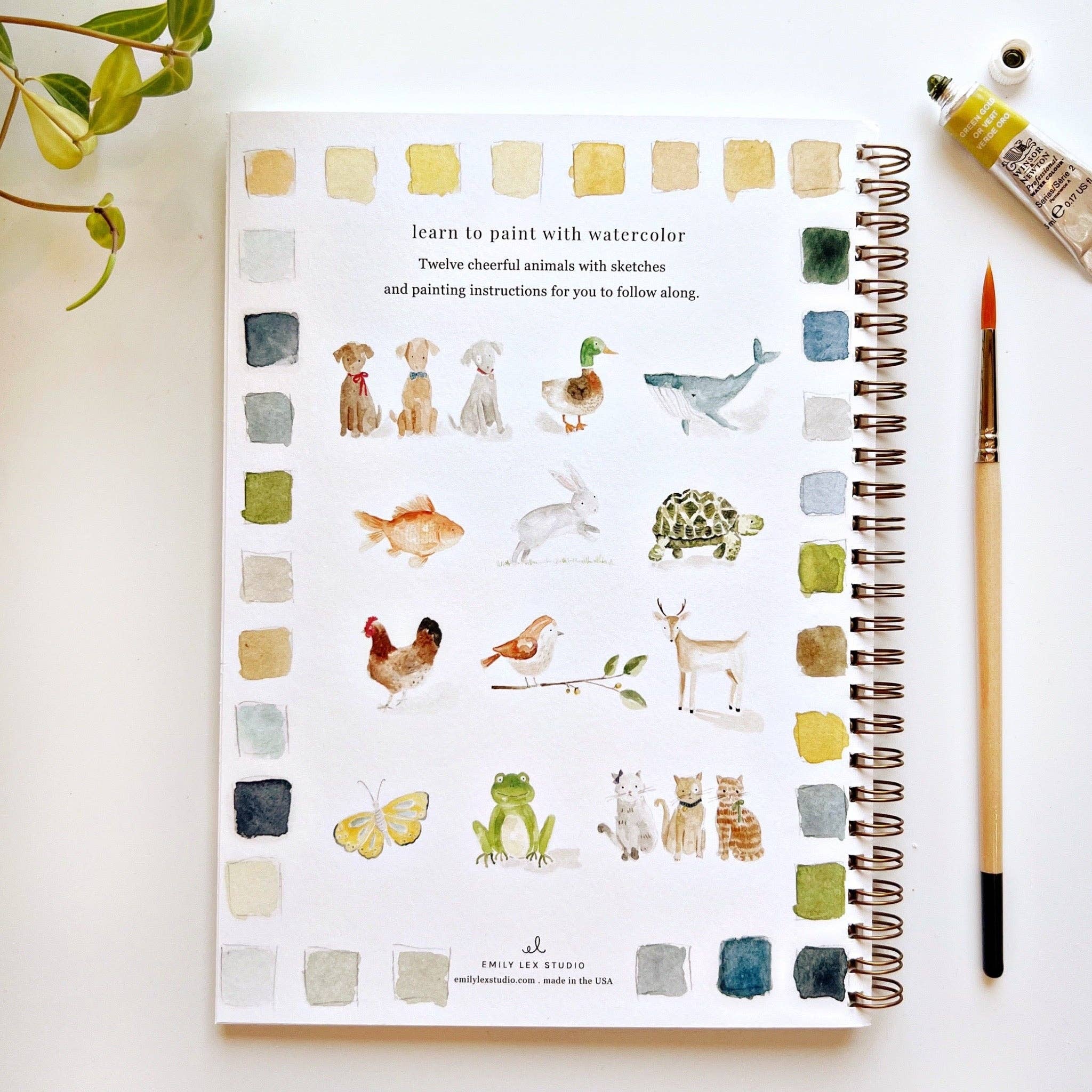 Watercolor Workbook - Animals - 0